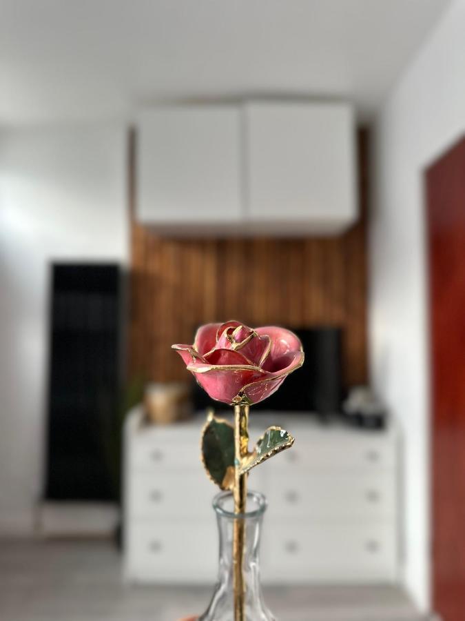 לידס Modern En Suite Bedroom Close To City Centre מראה חיצוני תמונה